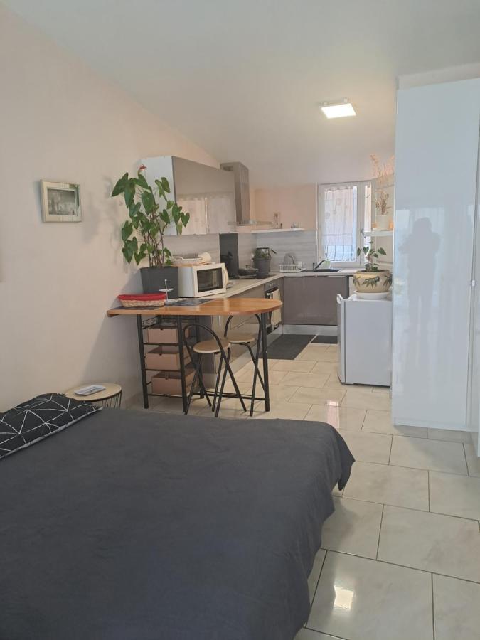 Chez Sabine Et Pascal Appartement Meyzieu Buitenkant foto